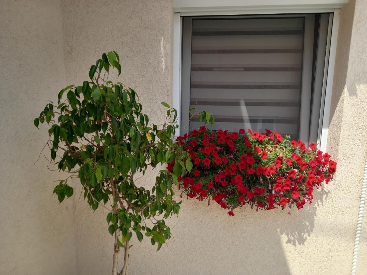 Leda Apartmani สเมเดเรโว ภายนอก รูปภาพ