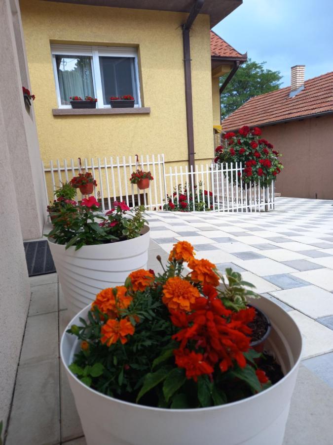 Leda Apartmani สเมเดเรโว ภายนอก รูปภาพ