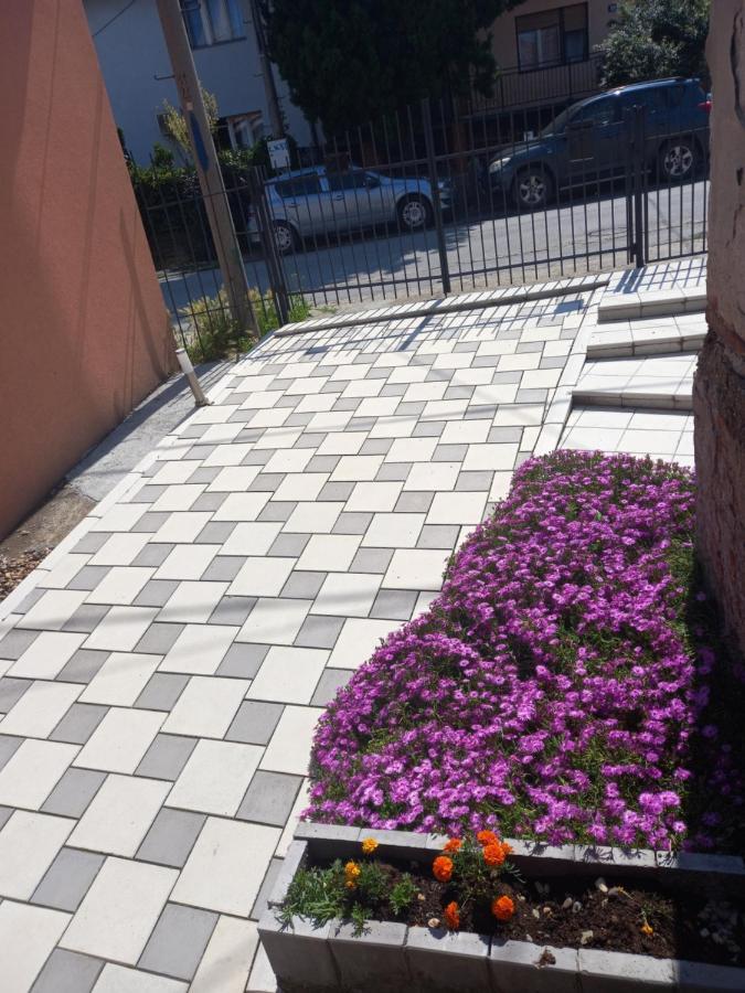 Leda Apartmani สเมเดเรโว ภายนอก รูปภาพ