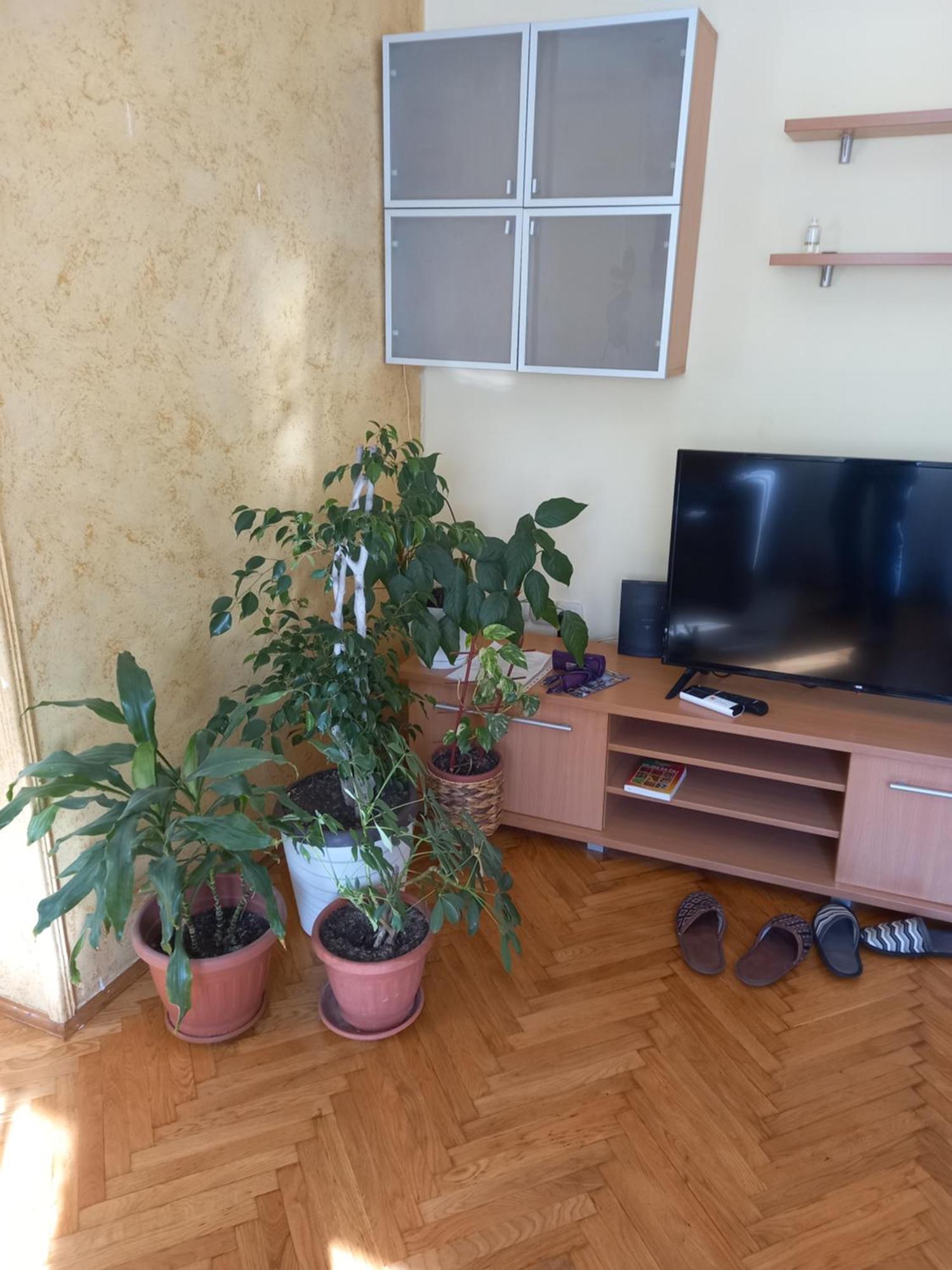 Leda Apartmani สเมเดเรโว ภายนอก รูปภาพ